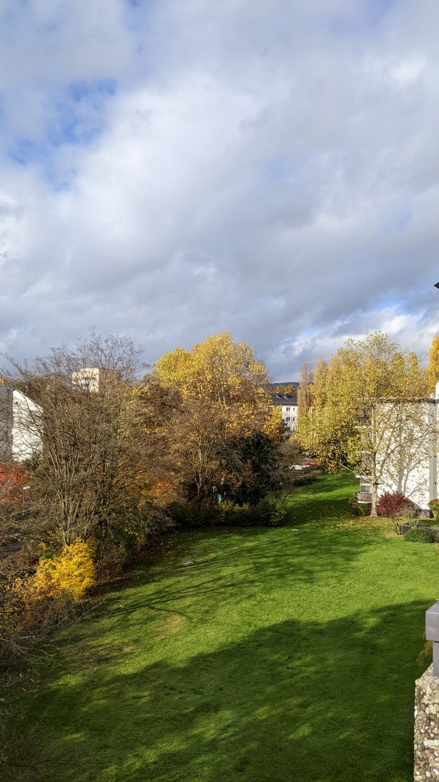 Blick ins Grüne aus dem Fenster