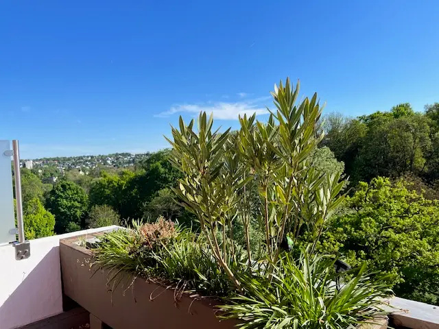 Kauf 4 Zimmerwohnung in Wiesbaden-Sonnenberg, Verkauf durch GSK Immobilien AG