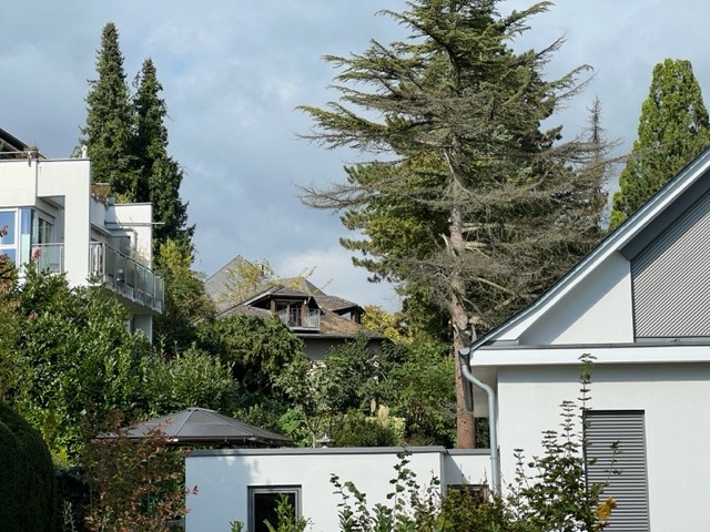 2-3 Familienhaus als 2.Rente – in sehr gefragter Wohnlage