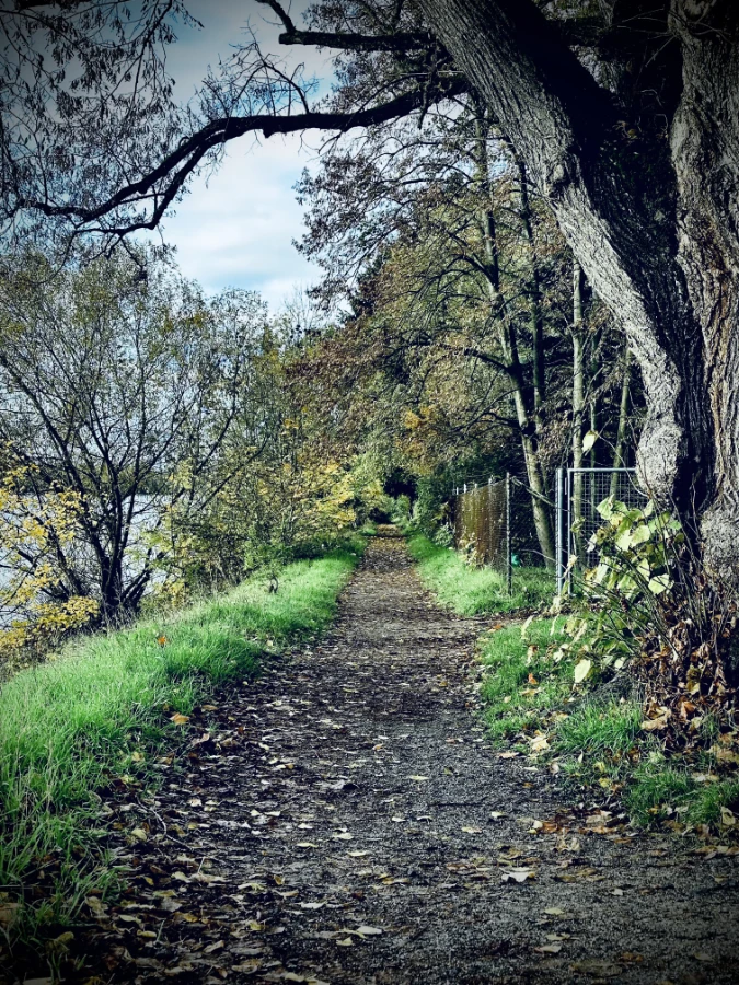 Schierstein am Rhein